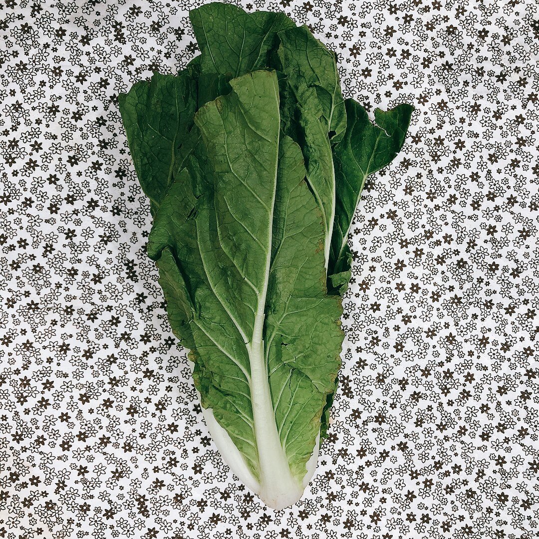 有機野菜農家のやおやさん 入荷お野菜 サラダ白菜 葉付き人参 スイスチャード ルッコラなど 他にも 沢山の種類の葉物が豊富に 入荷致しました 有機野菜農家のやおやさん 入荷お野菜 サラダ白菜 葉付き人参 スイスチャード ルッコラなど 他にも 沢山の種類の葉物が豊富に 入荷致しました