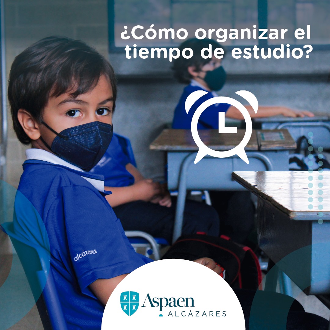 AspaenAlcazares tweet picture