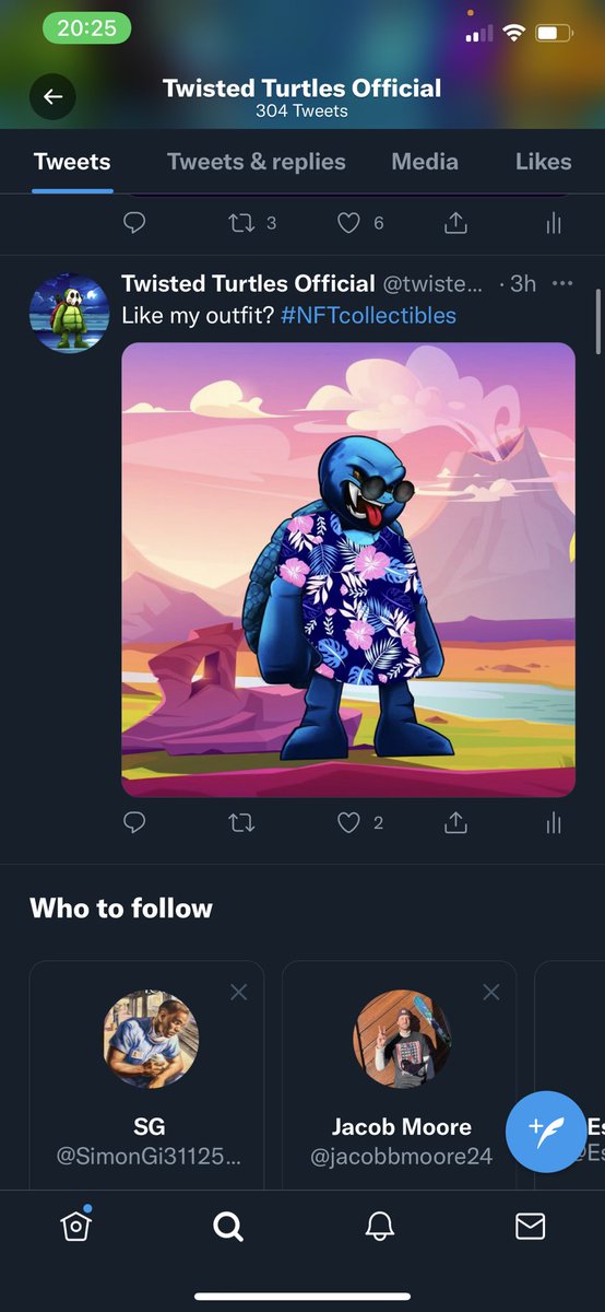 Twisted Turtles Official tweet media