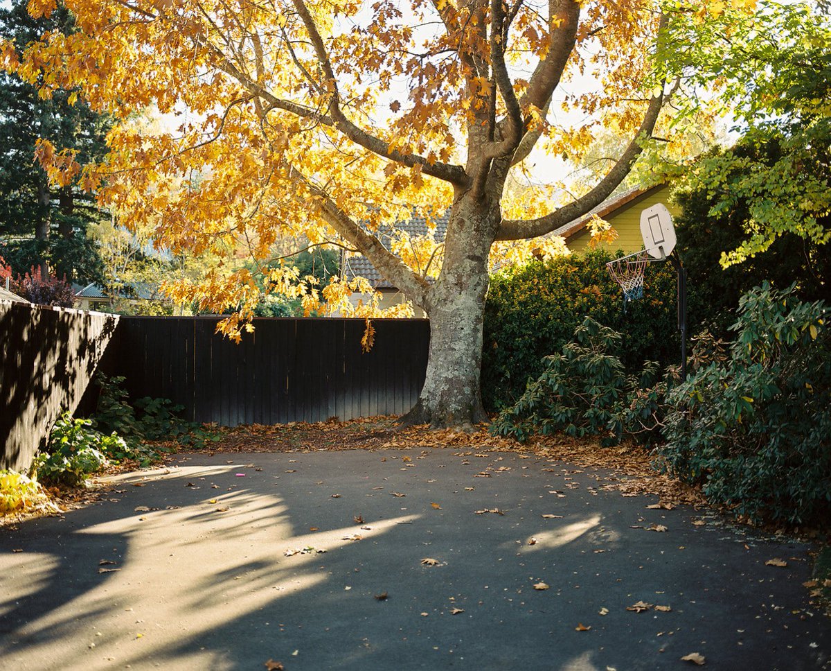 Dean Harvey tweet media