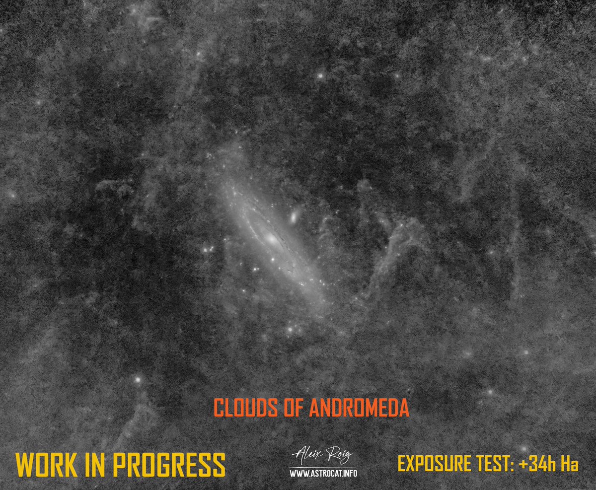 Aleix Roig tweet media