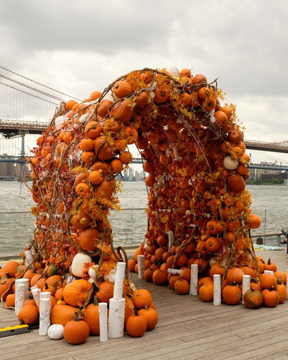 RooftopatPier17's tweet photo. The Pumpkin Arch 🎃 is back by popular demand. Head down to the Heineken Riverdeck and grab your 📷 through October. #PumpkinArch    

More info ➤ https://t.co/rB7sxXsHqG https://t.co/K7xSAVcAR3
