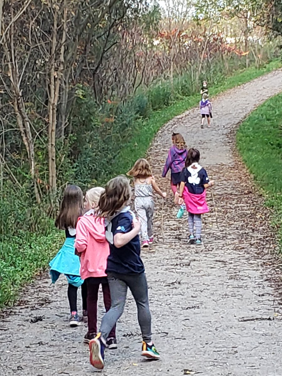 jenkruithof's tweet photo. The Brownies were able to find several wildflowers on our walk tonight. @girlguidesonnv https://t.co/f6V3eQSraz