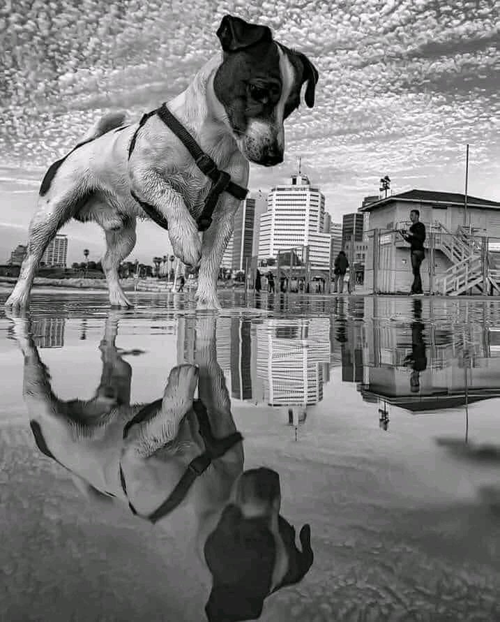 La imagen de la tarde 🐾❤