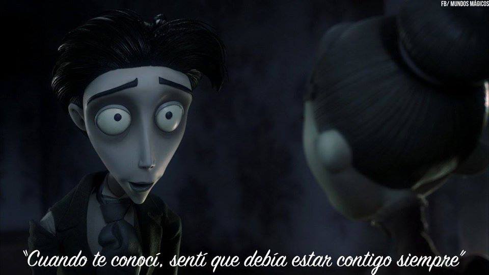 MagicMundi's tweet photo. “Cuando te conocí, sentí que debía estar contigo siempre” 💙 https://t.co/jQ5gzpJ35d