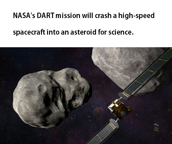 Prof. Elon Rocket Factory tweet media