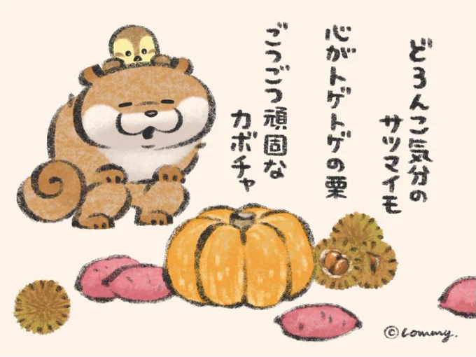 温かい関係を築くの🍠🌰🎃
#カワウソ 