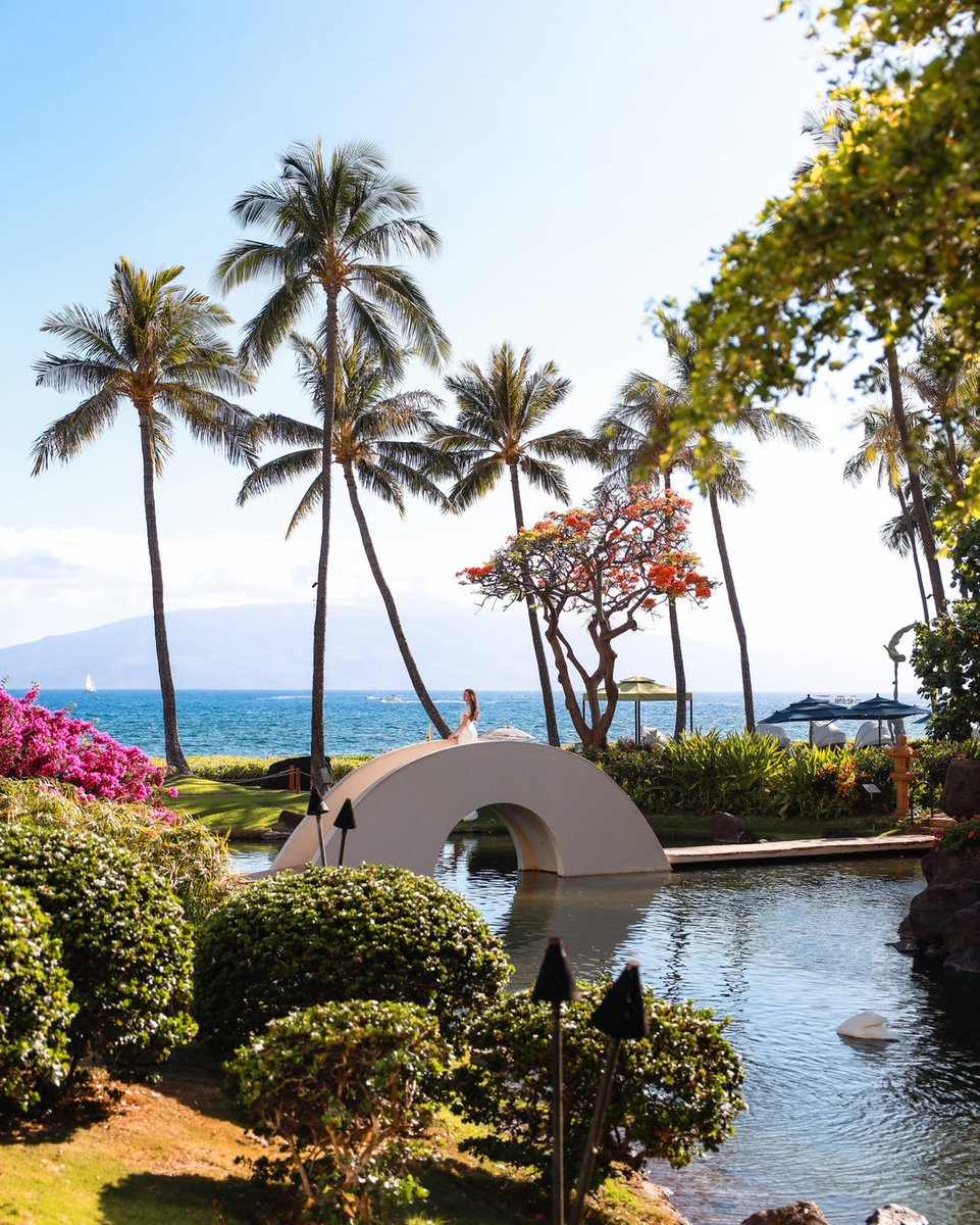 The oriental garden is the perfect spot for a photo opp. 

Photo credit: @myperfectitinerary

#maui #hyattmaui #kaanapali #mauihawaii #hawaiianvacation