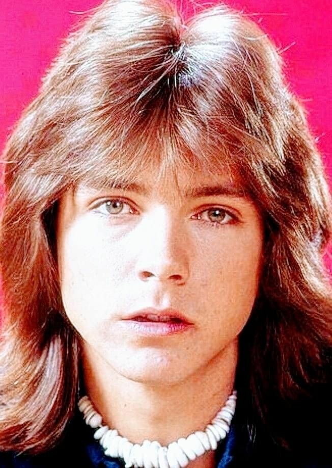 jessbythebsb's tweet photo. I couldn't resist.. 😉😍❤❤❤❤ #DavidCassidy #love #socutesy #extrasoftfluffyhair #sokissable https://t.co/OjGDyfAtxJ