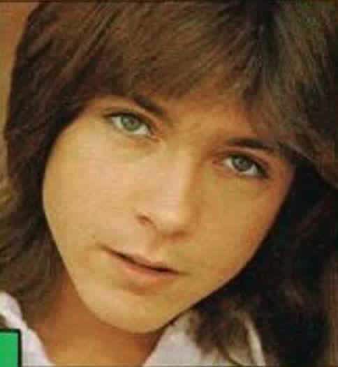 jessbythebsb's tweet photo. I couldn't resist.. 😉😍❤❤❤❤ #DavidCassidy #love #socutesy #extrasoftfluffyhair #sokissable https://t.co/OjGDyfAtxJ