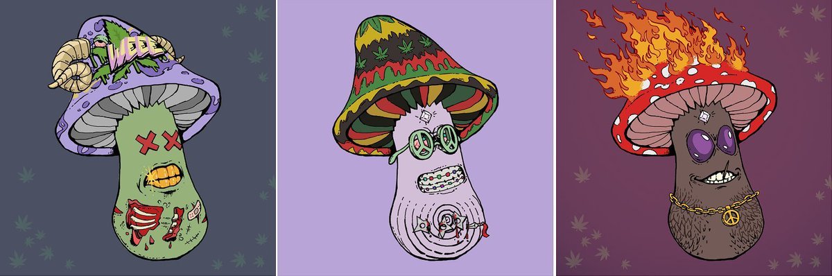 M tweet media