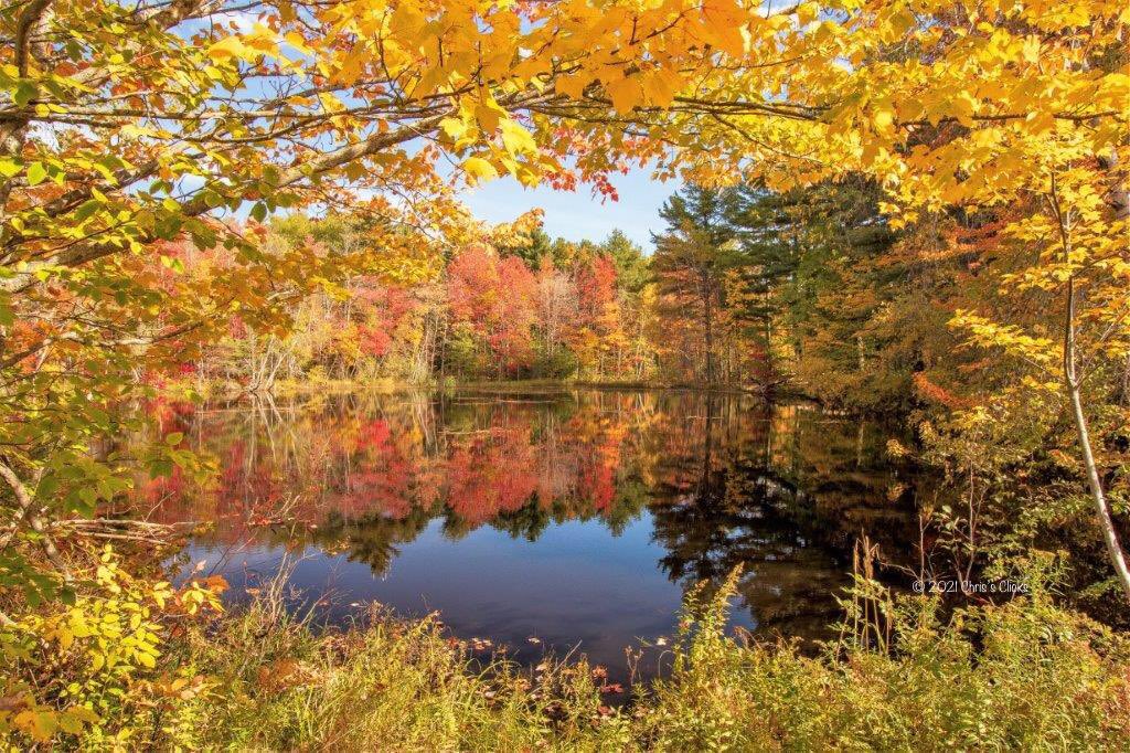 kit_kat1960's tweet photo. Beautiful Berwick, Nova Scotia. October 12, 2021. @weathernetwork @CTVAtlantic @KalinMitchelCTV @VisitNovaScotia https://t.co/zYroaKg0uk