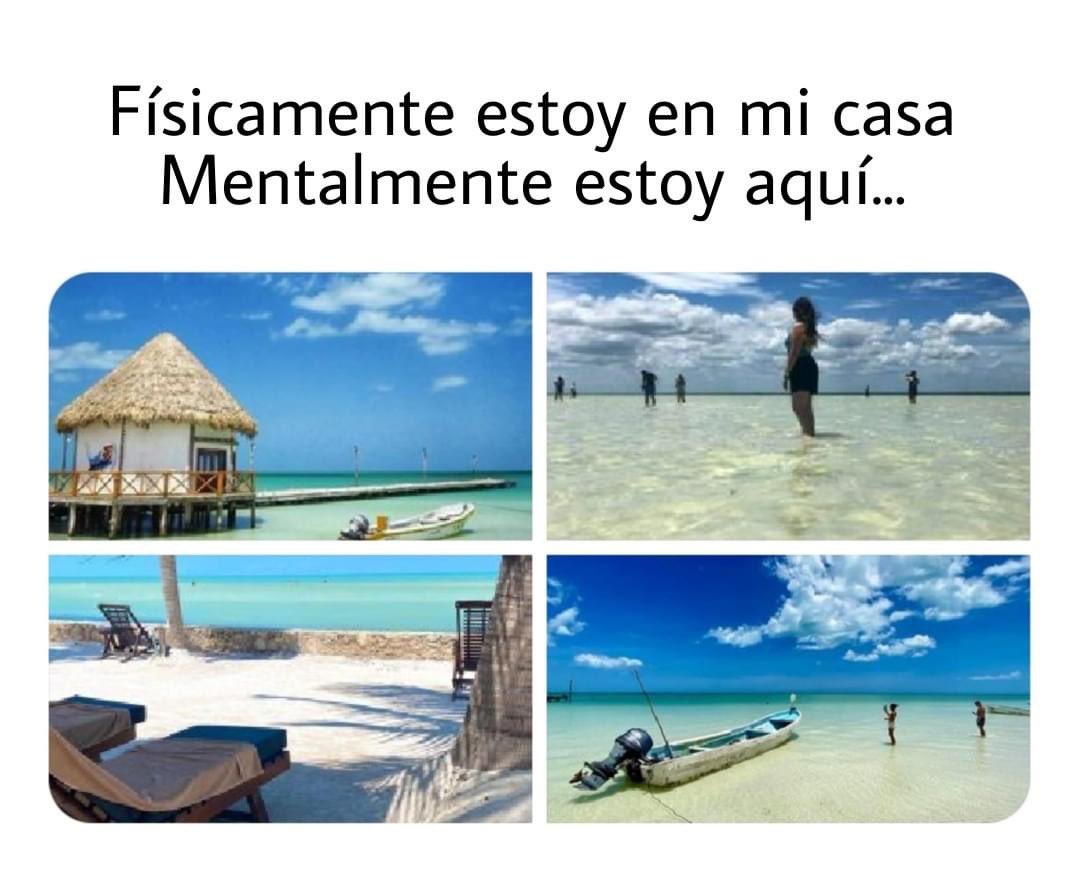 Ivelisse (@ivelisse2021) on Twitter photo 