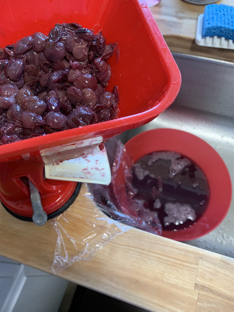 JulesGarden63's tweet photo. Concord Grape Butter! This is my first foray with preserving grapes in any way since I couldn’t grow them in Ontario. 20 cups of grapes = 7 1/2 250ml jars. 💕🍇 @JohnShrable @MabrisaWX @RobMayeda @tessvanstraaten @AnthonyFarnell @NikiJabbour #foodinjars https://t.co/BHtDi5H6WN