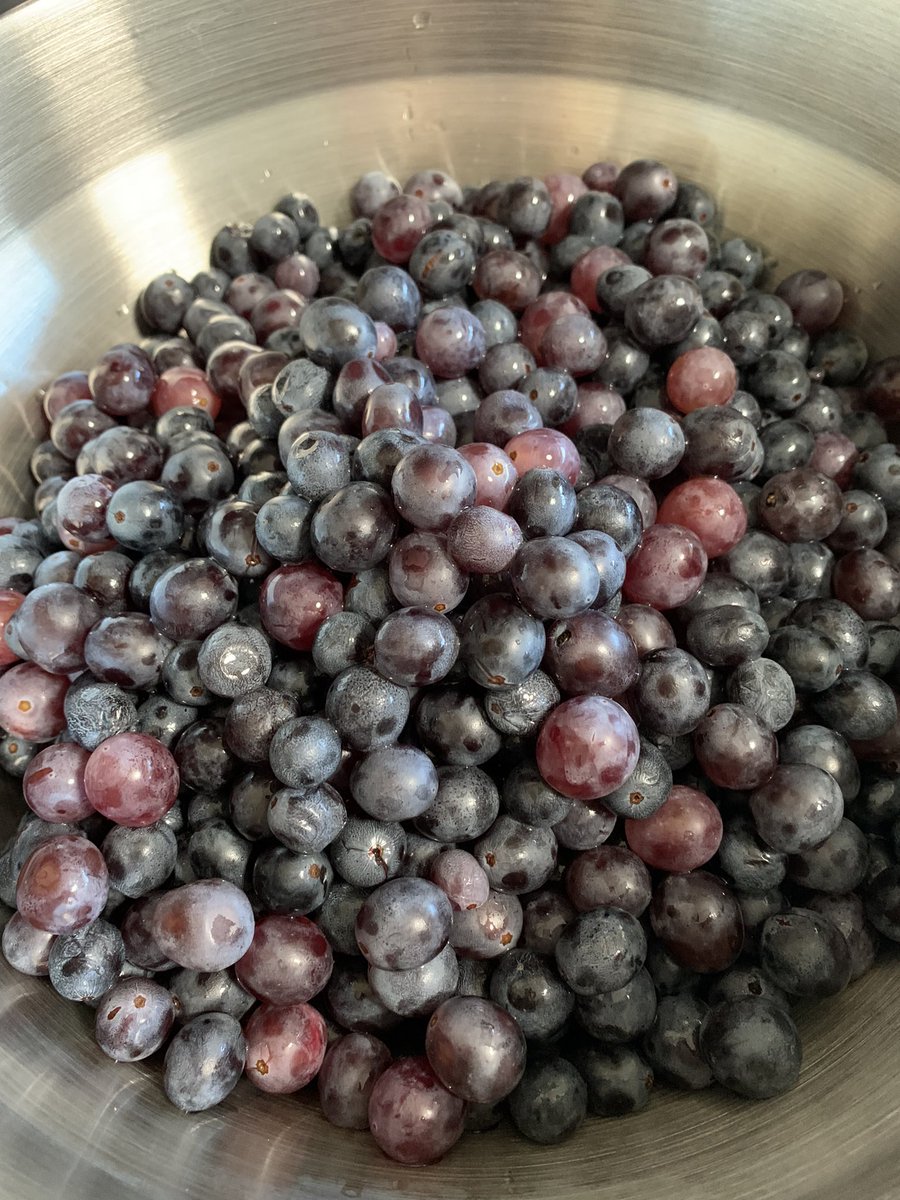 JulesGarden63's tweet photo. Concord Grape Butter! This is my first foray with preserving grapes in any way since I couldn’t grow them in Ontario. 20 cups of grapes = 7 1/2 250ml jars. 💕🍇 @JohnShrable @MabrisaWX @RobMayeda @tessvanstraaten @AnthonyFarnell @NikiJabbour #foodinjars https://t.co/BHtDi5H6WN