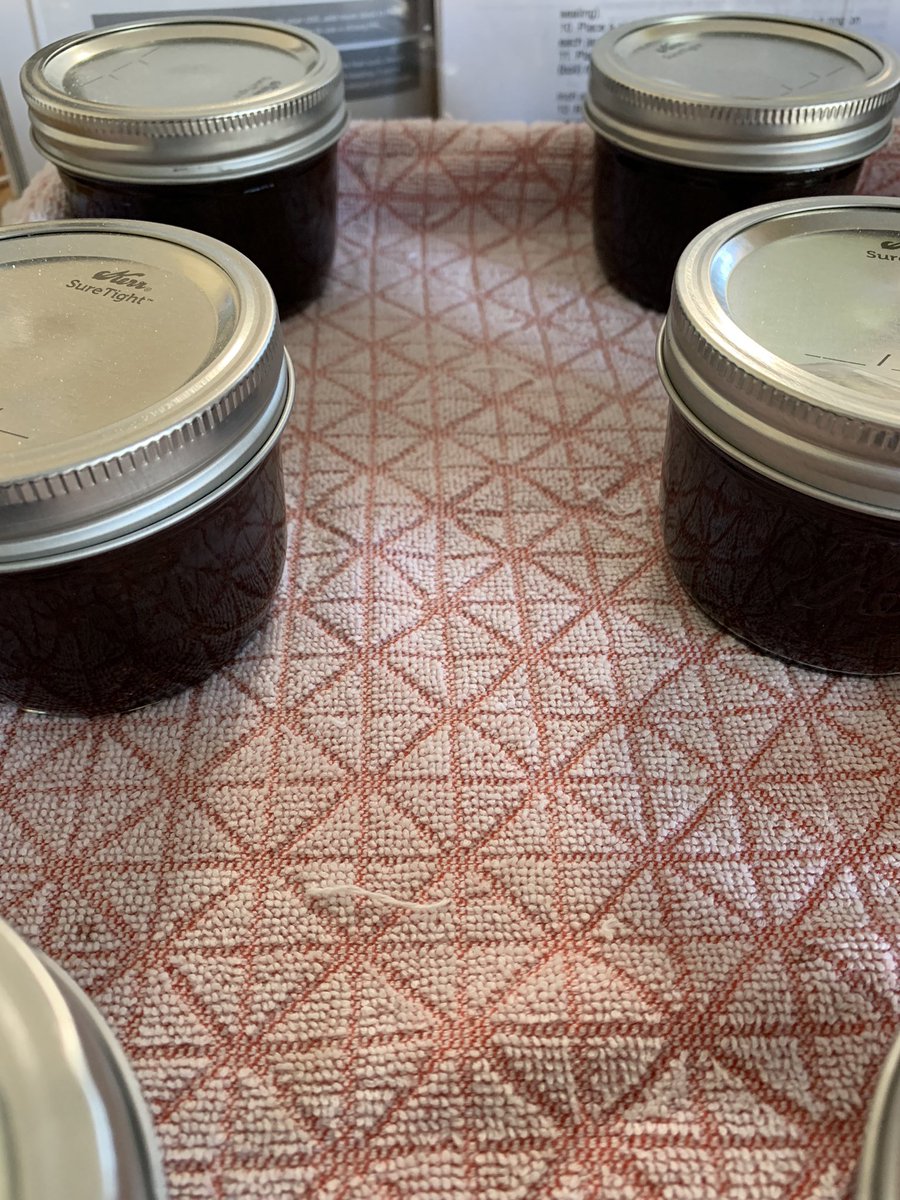 JulesGarden63's tweet photo. Concord Grape Butter! This is my first foray with preserving grapes in any way since I couldn’t grow them in Ontario. 20 cups of grapes = 7 1/2 250ml jars. 💕🍇 @JohnShrable @MabrisaWX @RobMayeda @tessvanstraaten @AnthonyFarnell @NikiJabbour #foodinjars https://t.co/BHtDi5H6WN
