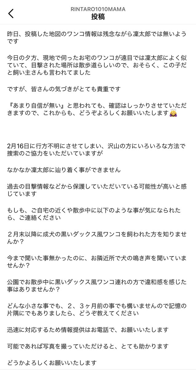 rintaro_maigo's tweet photo. #迷子犬 りんたろうくんを探しています！
・2/16 福岡県筑紫野市で失踪
・チワワとダックスのミックス

#迷い犬 #トリミング #動物病院 #ドッグサロン #チワックス #筑紫野 #二日市  #朝倉街道 #小郡 #太宰府 #大野城 #筑前町   #春日市 #博多 #迷子 #鳥栖 #基山 #那珂川  #久留�� #佐賀 #熊本 #大分 https://t.co/sklRH4tA5w