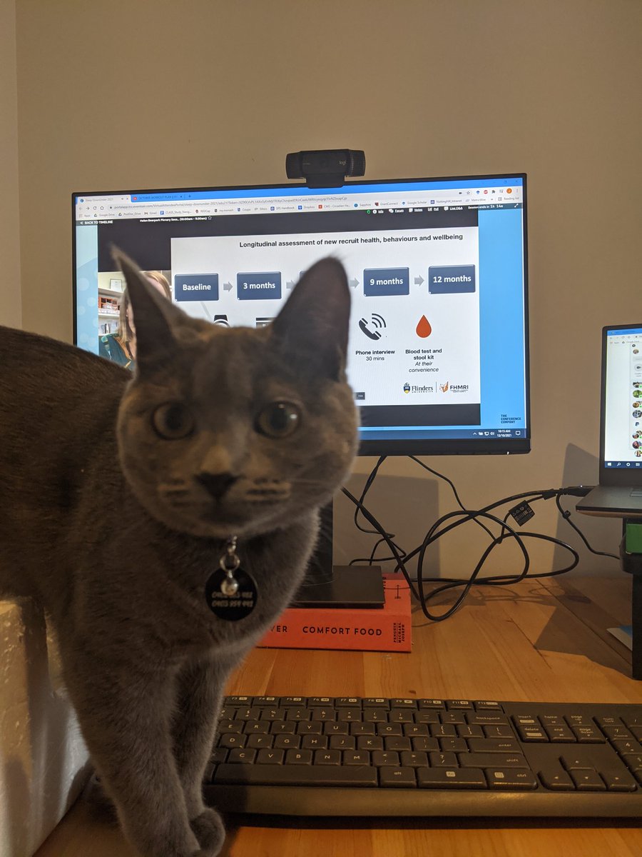 JStone_247's tweet photo. I'm not the only one enjoying @SleepWorkHealth's talk this morning! She would like to find out how to participate pls. 
#PetsOfASA #SDU2021 https://t.co/CBsQN1CKX9