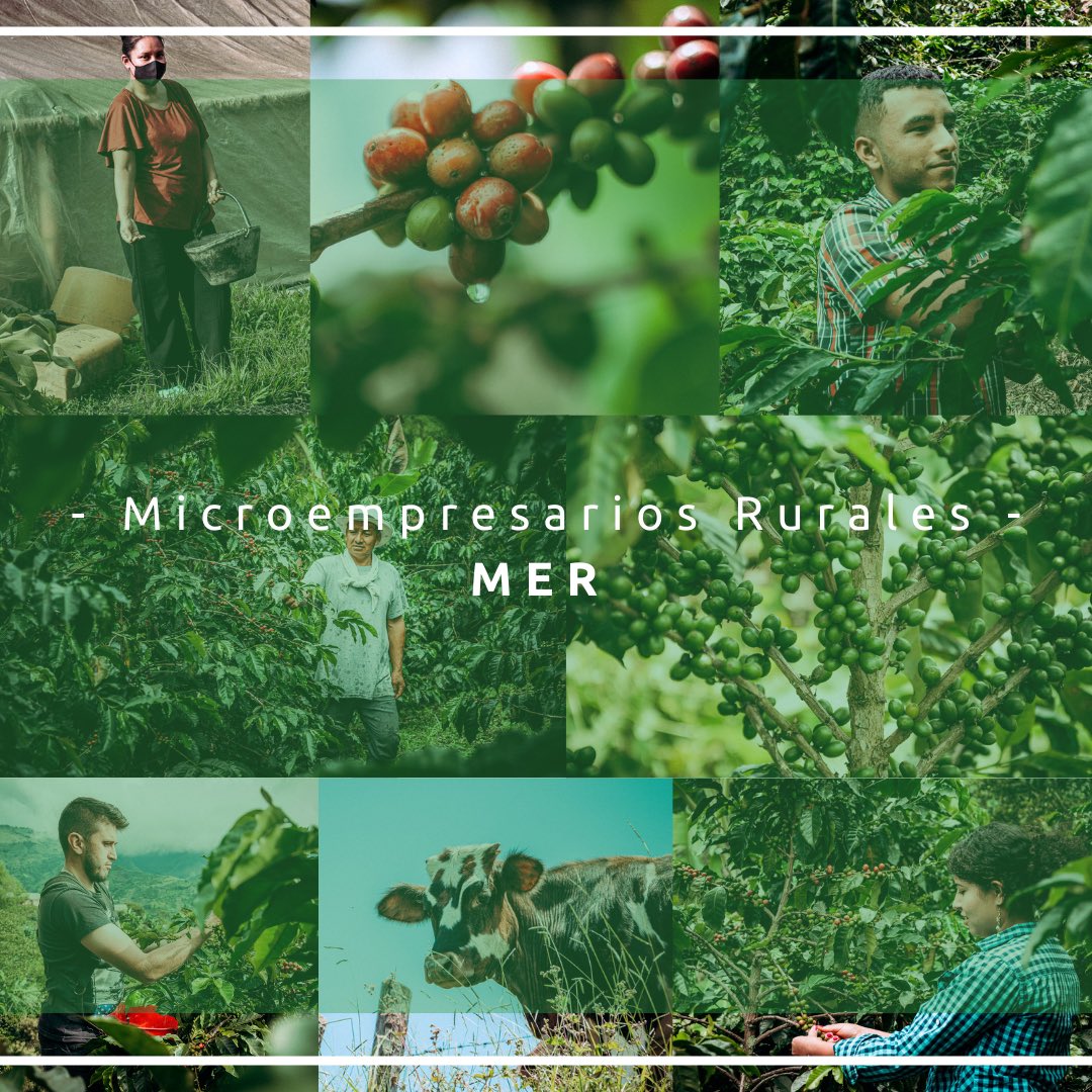 📖 Somos aliados de la EDUCACIÓN, somos aliados de la COMPETITIVIDAD, somos aliados del PROGRESO. 💚💫  ¡Unidos, haciendo campo! 🍃