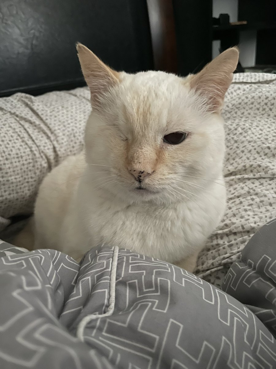 snakey1eye's tweet photo. ime wil knot leab momb’s side untils mine babey bruthor is Borned https://t.co/bRHExAeAd1