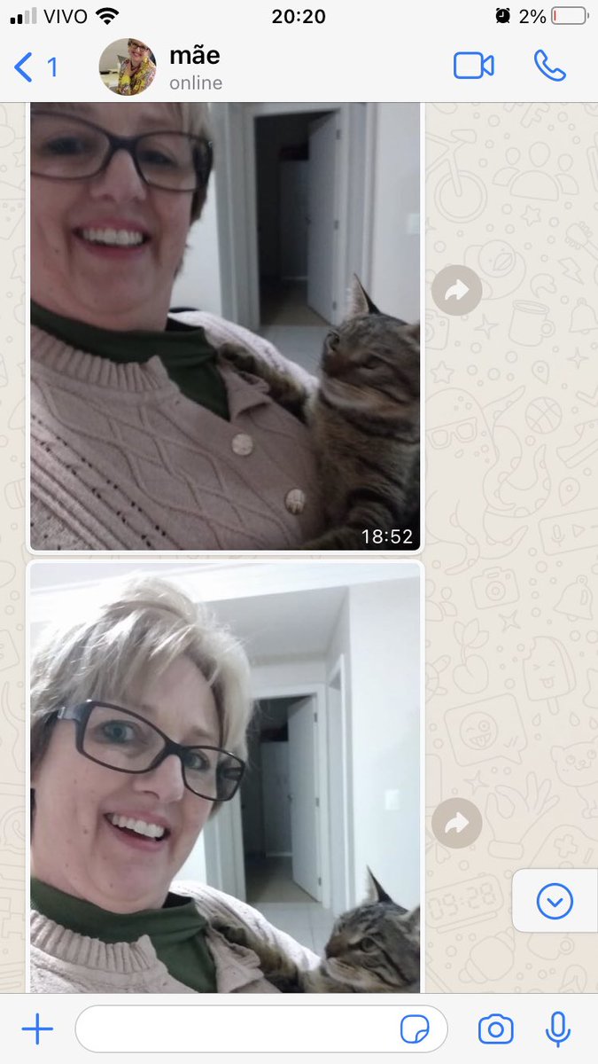 cryrwolf's tweet photo. fiquei fora por um dia e minha mãe se ofereceu pra ficar no meu apartamento com o tofu (nunca vi uma pessoa mais feliz)) segue as mensagens q ela me mandou https://t.co/MV5ZrFyN9c