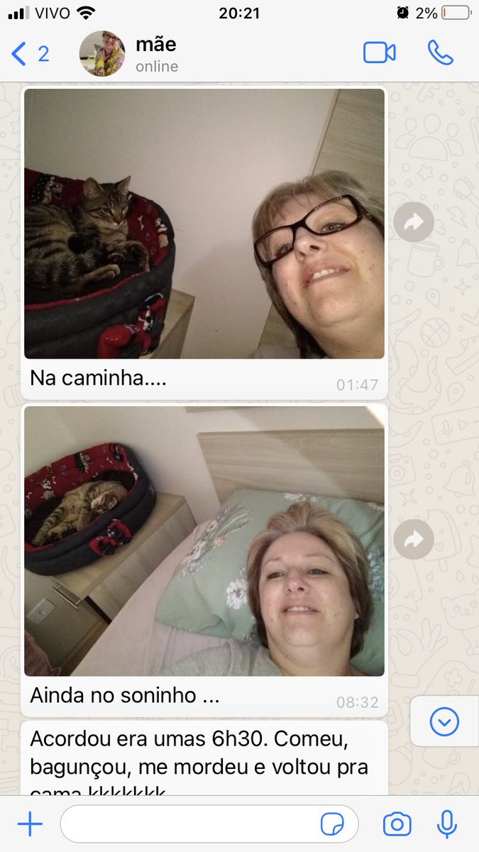 cryrwolf's tweet photo. fiquei fora por um dia e minha mãe se ofereceu pra ficar no meu apartamento com o tofu (nunca vi uma pessoa mais feliz)) segue as mensagens q ela me mandou https://t.co/MV5ZrFyN9c