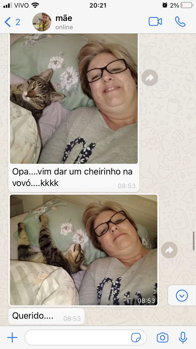 cryrwolf's tweet photo. fiquei fora por um dia e minha mãe se ofereceu pra ficar no meu apartamento com o tofu (nunca vi uma pessoa mais feliz)) segue as mensagens q ela me mandou https://t.co/MV5ZrFyN9c