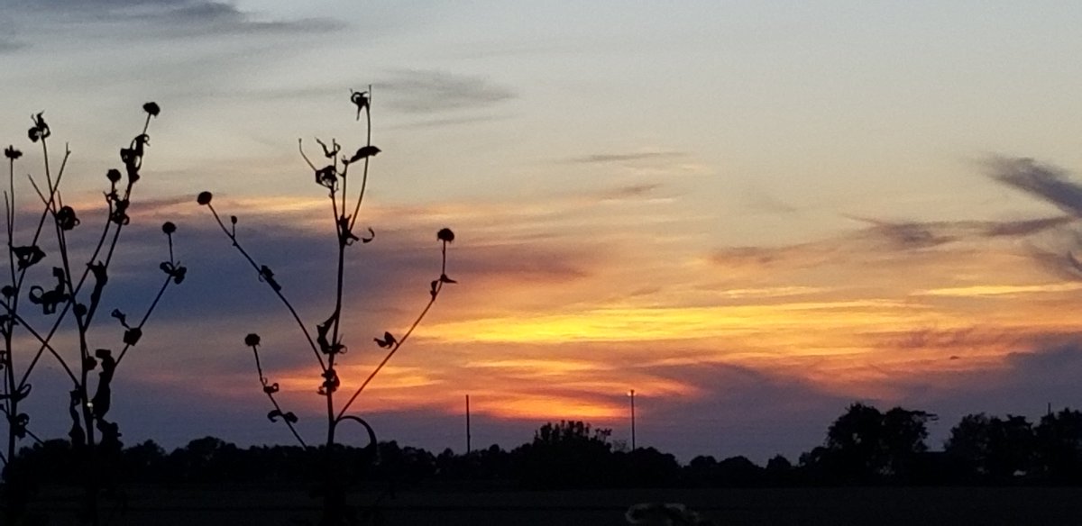 Good night,  #BloNo.  Beautiful end to a beautiful day. <a href="/NWSLincolnIL/">NWS Lincoln IL</a>