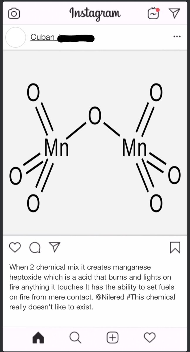 screamintreecat tweet media