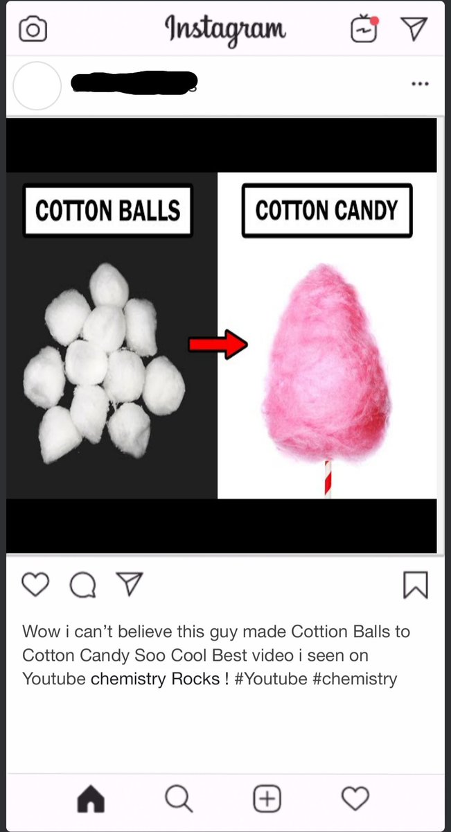 screamintreecat tweet media