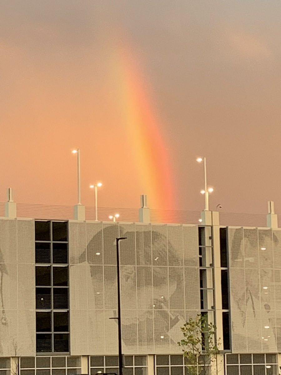 Kristine_Scheel tweet media