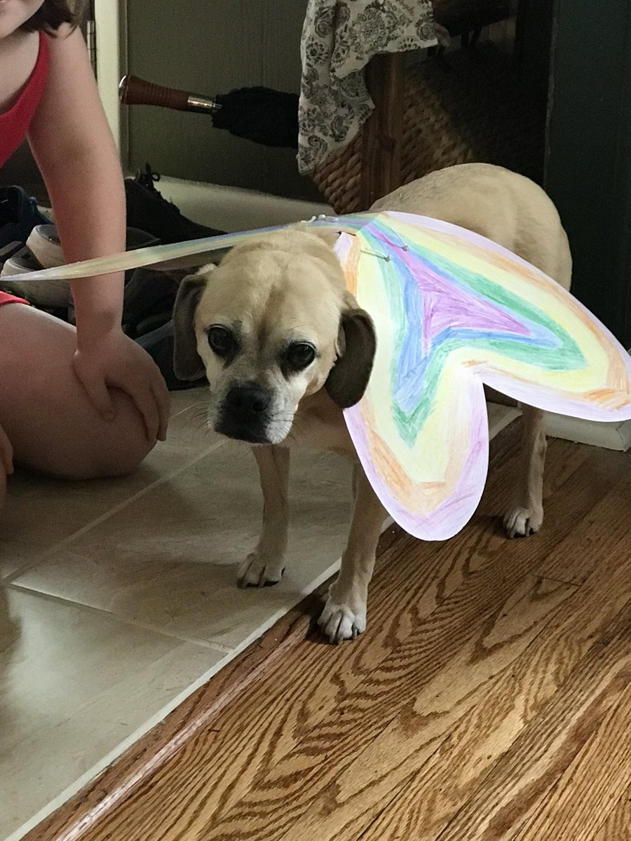 Good but sweet puppers. Guard well the rainbow bridge from the ninja pirates. She is a very good dog.