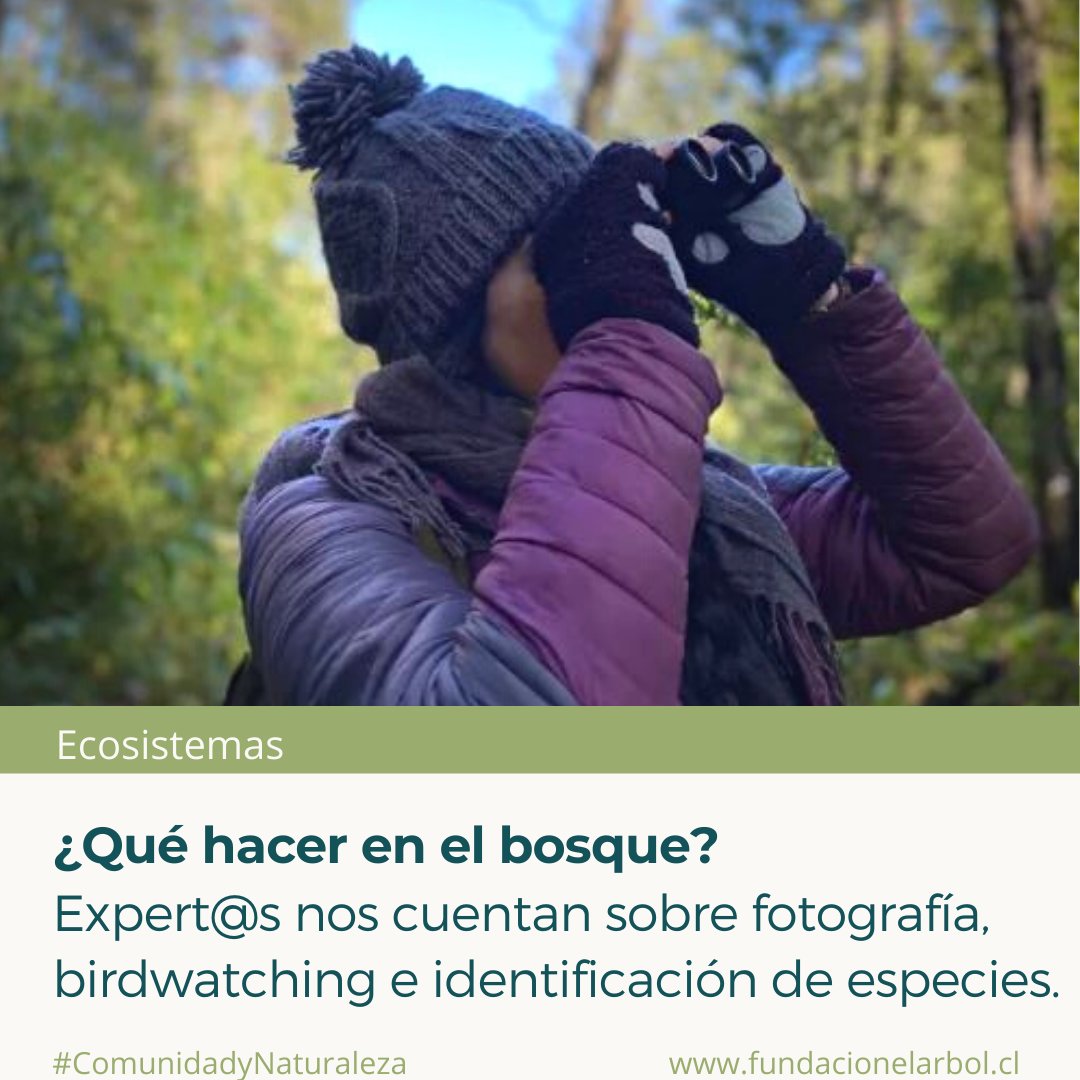 Fundación El Árbol tweet media