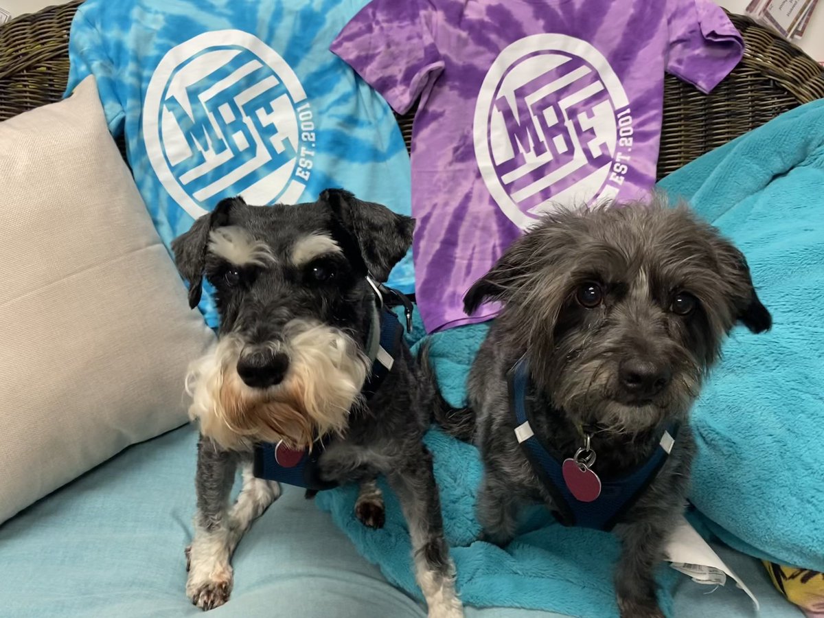 We are so excited about spirit count on Friday that we’ve already picked out our shirts! The grade level classes with the highest participating percentage will win the spirit trophy for the week! 🤩💜🐻 <a href="/HumbleISD_MBE/">Maplebrook Elem</a> #mbeisfamily