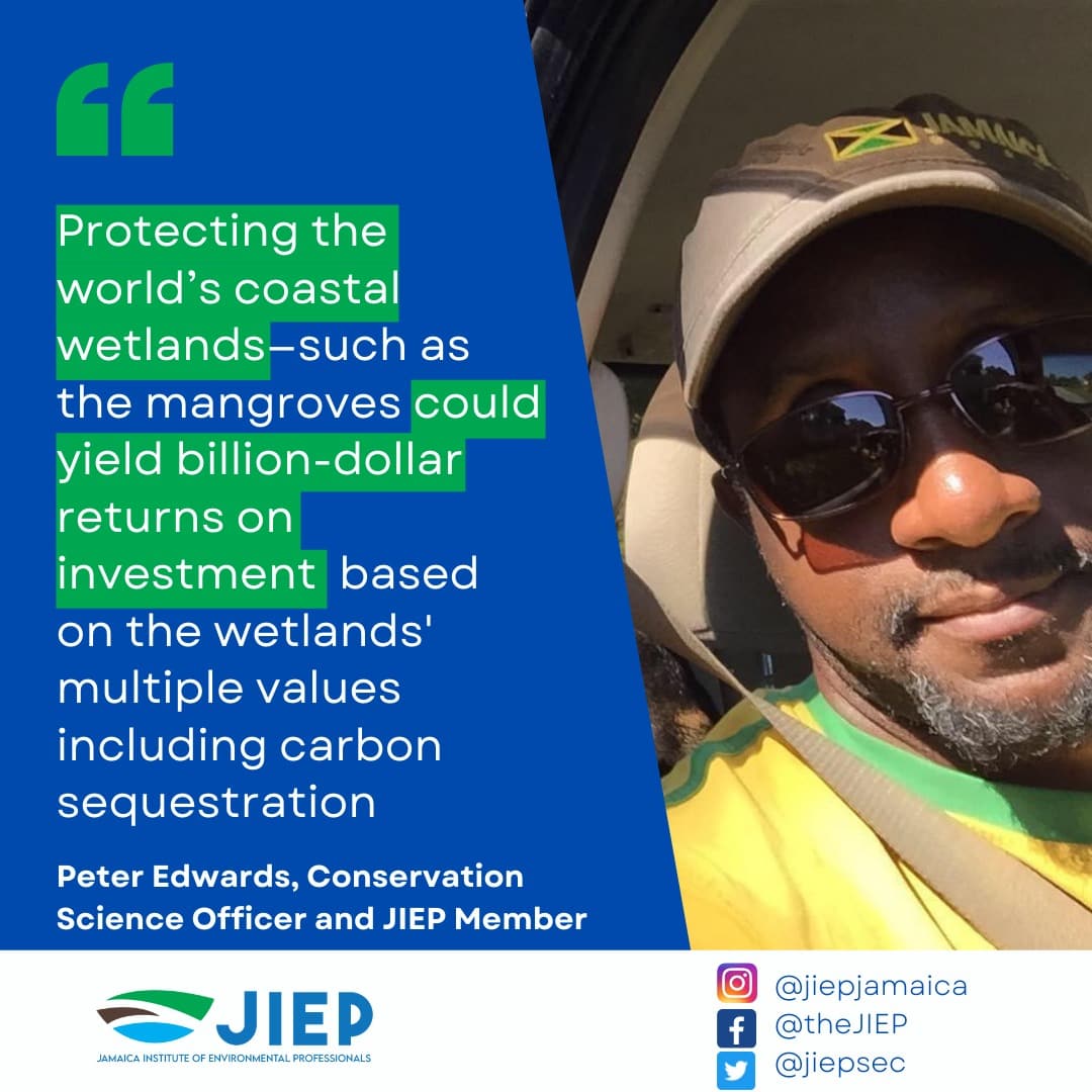 jiepsec's tweet photo. Check out a blog co-authored by El Pedro (@peterericthor) as part of his day job. #CoastalWetlandsFinancing #NDCs #NatureBasedSolutions 

https://t.co/JDg8LlCPFl https://t.co/VJhsKutBvI