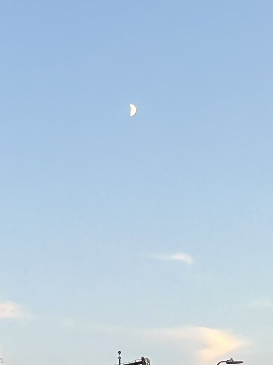 Betsy Luke tweet media