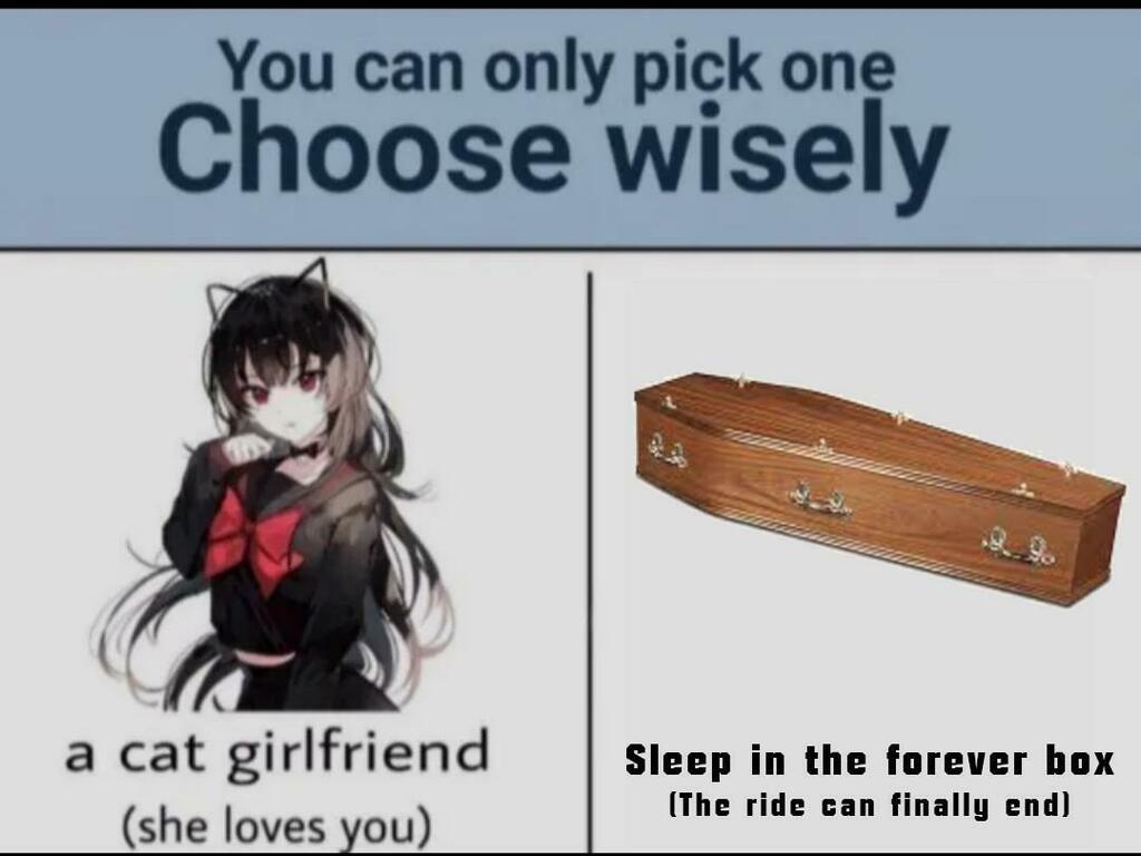 Anime memes on X: Choose wisely Post