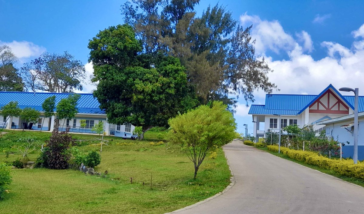 A beautiful blue school, Vanuatu