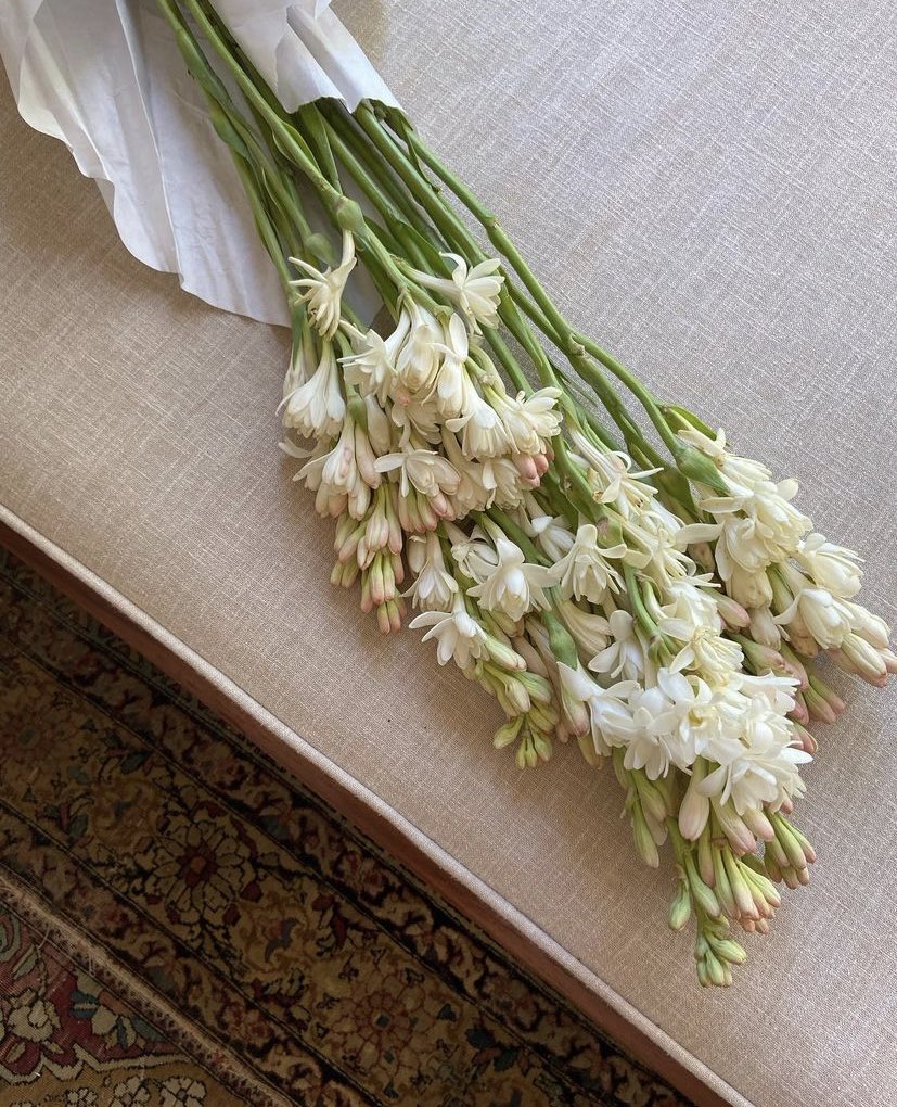 𝑳𝑰𝑳𝒀 𝑺𝑨𝑳𝑽𝑨𝑻𝑶𝑹𝑬. tweet media