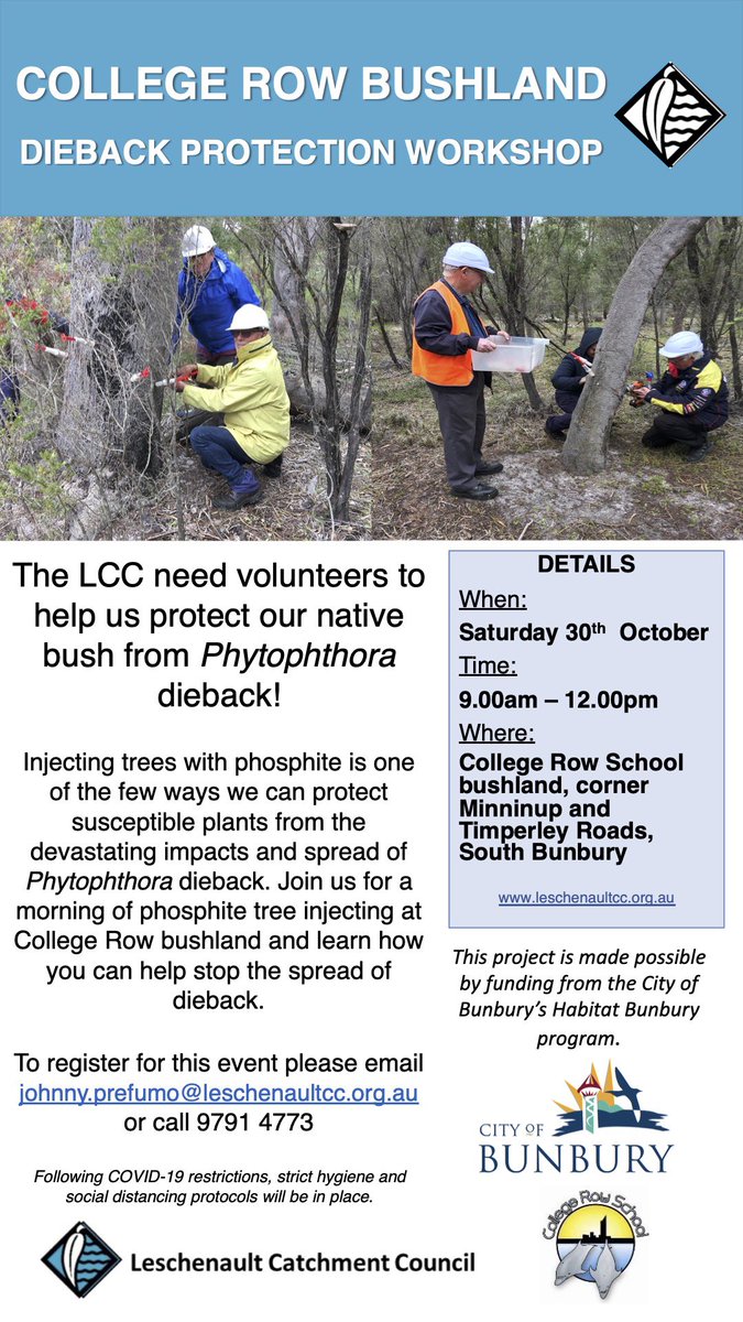 The LCC are calling for volunteers to assist with phosphite injections to protect native trees in the bushland adjacent to College Row School from Phytophthora dieback on Saturday 30th October. Details on this flyer or head over to the Facebook events page for more.
