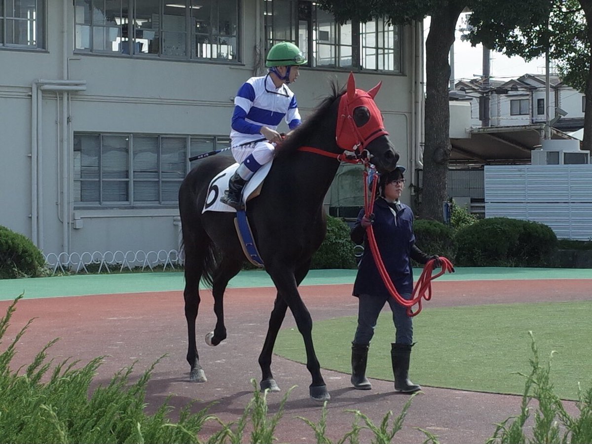 おお、巡ってきたね！
がんばれ！

佐賀3R
5番 アイフレンズ 角田大和(54kg) 
→ 青海大樹(54kg) (8/4 10:42)
佐賀4R
7番 ディオアルバ 角田大和(56kg) 
→ 青海大樹(56kg) (8/4 10:42) 