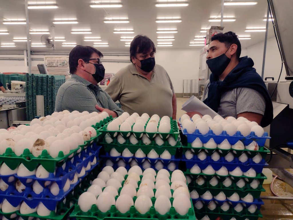 Aguero_M_A's tweet photo. Compartí con los trabajadores de Granja San Miguel, la productora de huevo más importante del Sur argentino, sus inquietudes y preocupación sobre el crecimiento y desarrollo productivo en estos TIEMPOS. No perder con la inflación y tener estabilidad laboral sus grandes deseos. https://t.co/BksgRElr3T