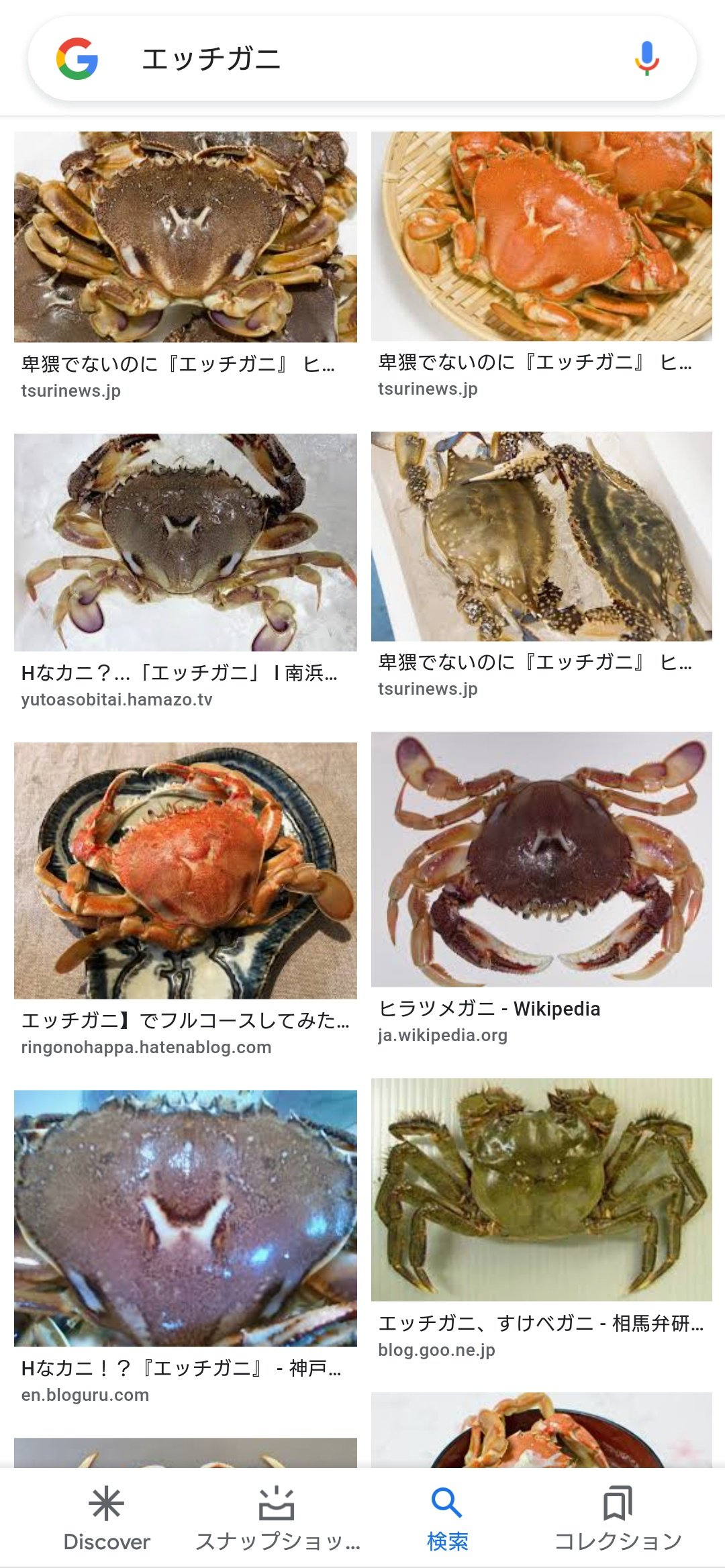 黒周ダイスケ 土曜日東厶04a Al Twitter エッチガニ 素敵な生物名 T Co Afqyotfldz Twitter