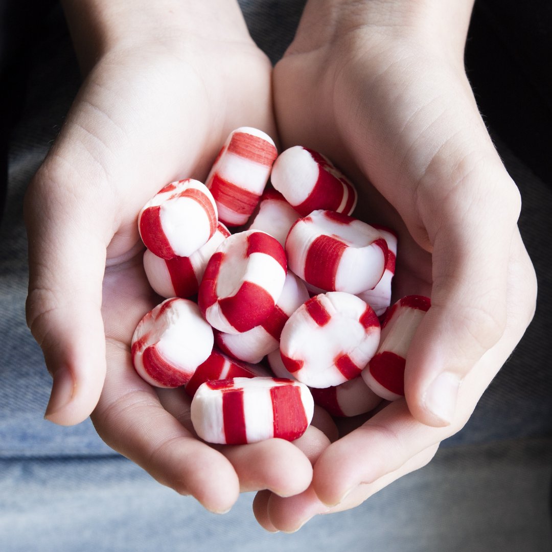 RedBirdPuffs's tweet photo. Reward all of your hard work with a little Peppermint. https://t.co/LMRus3tqQp