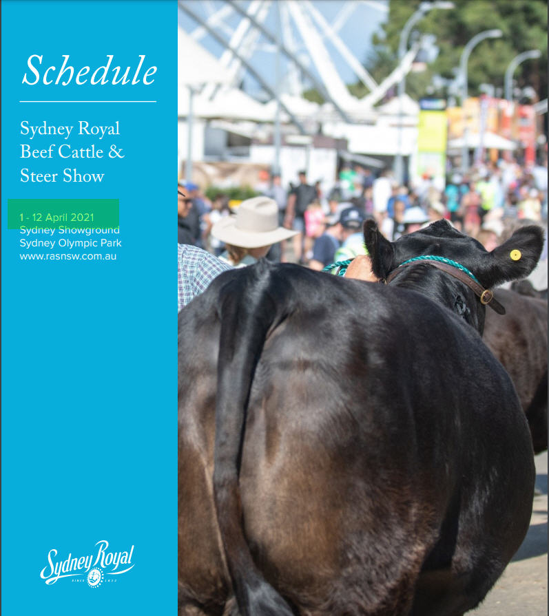 SimmAustralia's tweet photo. Prepping steers for our #Simmental Feature Show in 2022? 
Click on the link for the specs from the 2021 schedule. We don't perceive any changes to these so the information should be the same. If there are, we'll send an update.
https://t.co/40YMXWTSRp https://t.co/7qT6nhpiU5