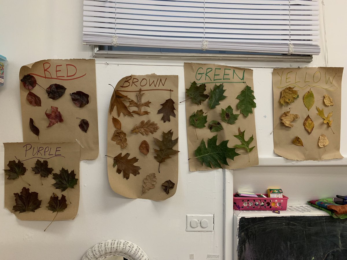 ms_mmcmanus's tweet photo. Today in Blue Room, our preschoolers read “We’re Going on a Leaf Hunt” and went on our own leaf hunt in our neighborhood. We sorted our findings by color when we returned to school. 🍁 🍂 🍃 https://t.co/WqVRTeaFkG