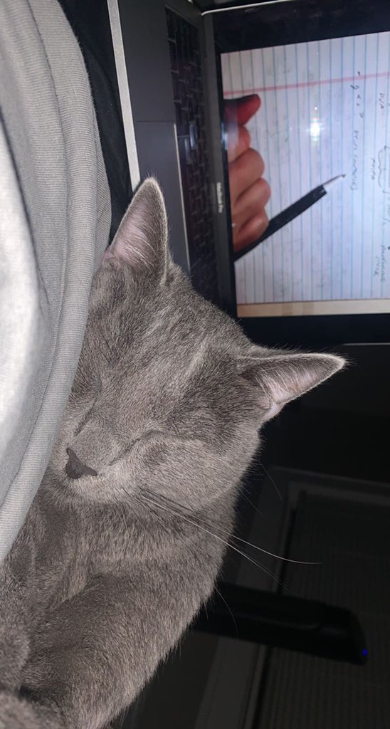 eathwalker's tweet image. It seems lectures have the same effect on Malcolm as they do me