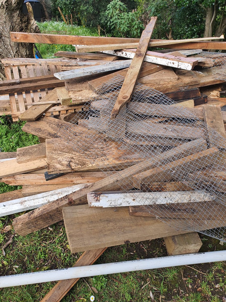 Feeling very please with myself - last week's work outside resulted in an old garden shed being pulled down. Inside the shed was a stack of miscellaneous old timber left behind in the garden by previous owner - it all had to go. Timber went last Sunday just from this photo. wire https://t.co/L9Z4hsGF5i