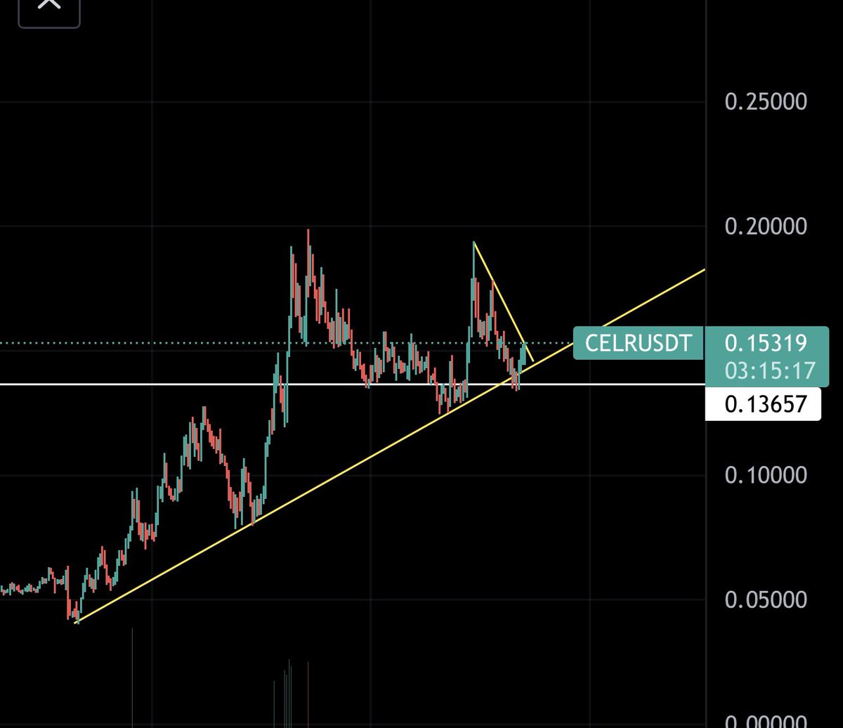 CryptoALPHA18's tweet photo. What a day to be holding $celr we are still in uptrend moon is inevitable https://t.co/xFuQwjlfoJ