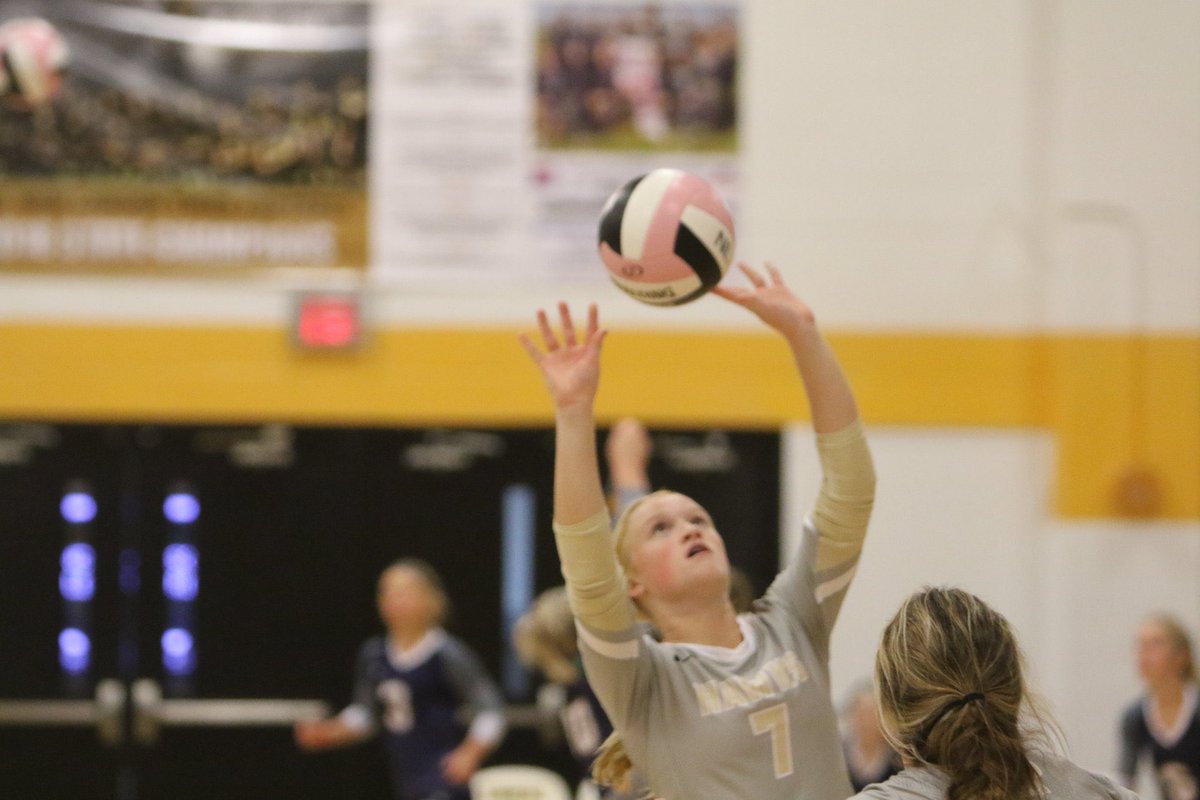 Laney Pacha tweet media